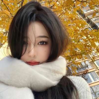 梦想纪念碑：圣路易拱门